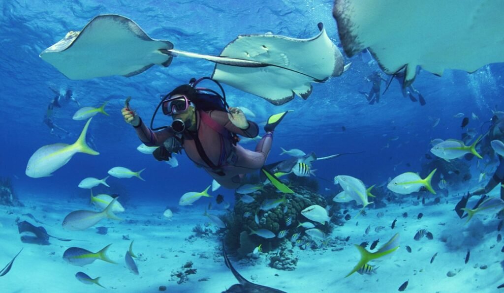 Снорклінг скриншот