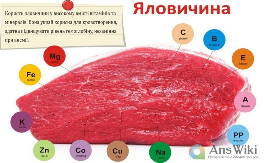 Користь яловичини